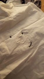 High angle view of cat on bed