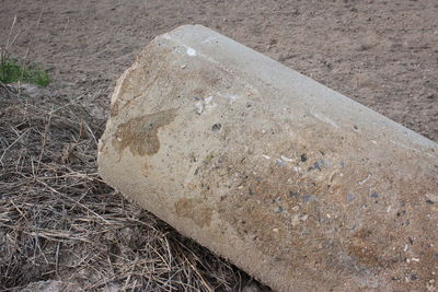 High angle view of rocks on field