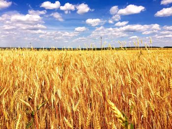 Scenic view of field against cloudy sky