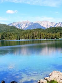 Scenic view of lake by trees against sky