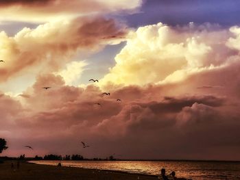 Birds flying over beach against sky during sunset