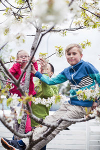 High angle view of children on plant against trees