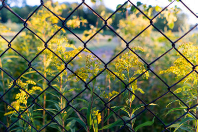 Full frame shot of chainlink fence against sky