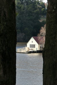 Houses by lake and trees in forest