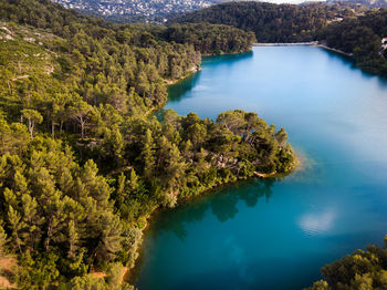 High angle view of lake amidst trees in forest