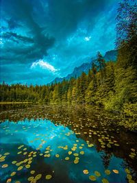 Scenic view of lake by trees against sky