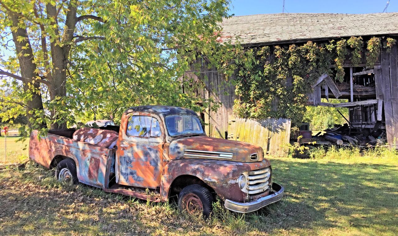 car, mode of transportation, motor vehicle, transportation, land vehicle, plant, tree, abandoned, nature, obsolete, rusty, damaged, day, architecture, old, sunlight, run-down, weathered, stationary, no people, outdoors, deterioration, ruined, antique