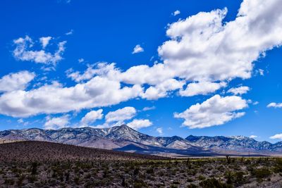 Scenic view of landscape against cloudy sky