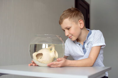 A cute boy looks into a round aquarium with fish and decor and smiles. love for pets