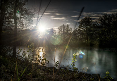 Scenic view of lake in forest