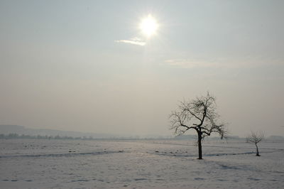 Scenic view of snow field against sky during winter