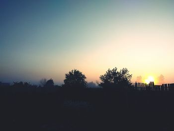 Silhouette trees against clear sky during sunset
