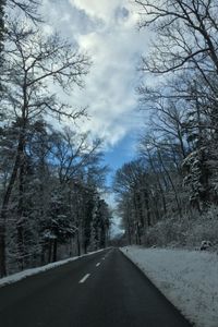 Road passing through bare trees
