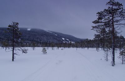 Scenic view of snow covered landscape against sky