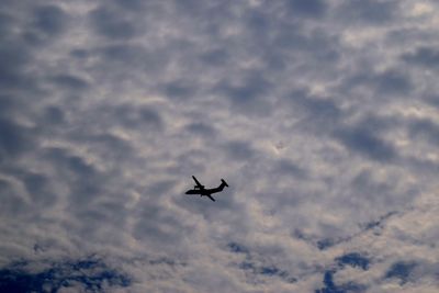 Low angle view of bird flying in sky