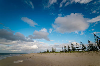 Scenic view of beach against blue sky