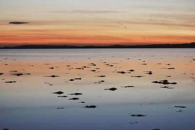 Scenic view of sea at sunset