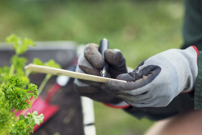 Close-up of man holding plant