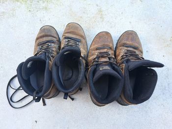 shoe