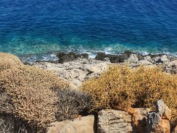 High angle view of rocks on beach