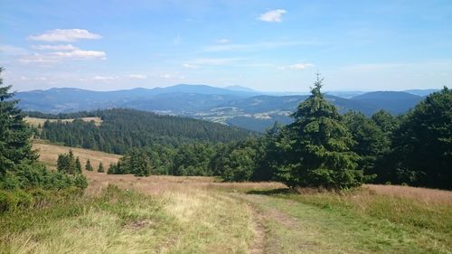 Scenic view of landscape against sky