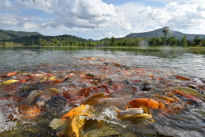 View of lake against cloudy sky