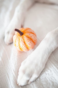 High angle view of orange on table