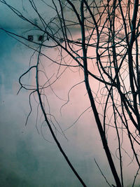 Low angle view of bare trees against sky