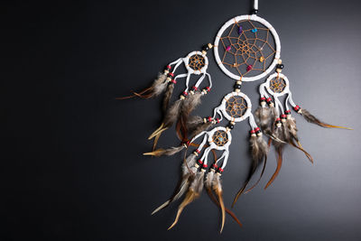 Close-up of feather hanging against the background