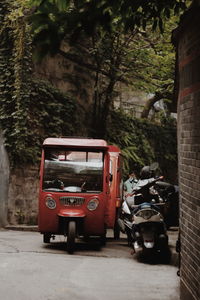 Bus on road by trees in city