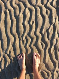 Low section of woman standing on beach