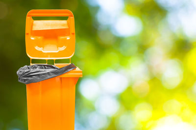 Close-up of yellow toy car