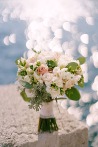 Close-up of white flowers