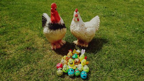 High angle view of birds on field