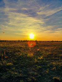 Scenic view of field against sky during sunset