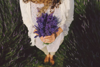 Low section of woman holding lavenders on field