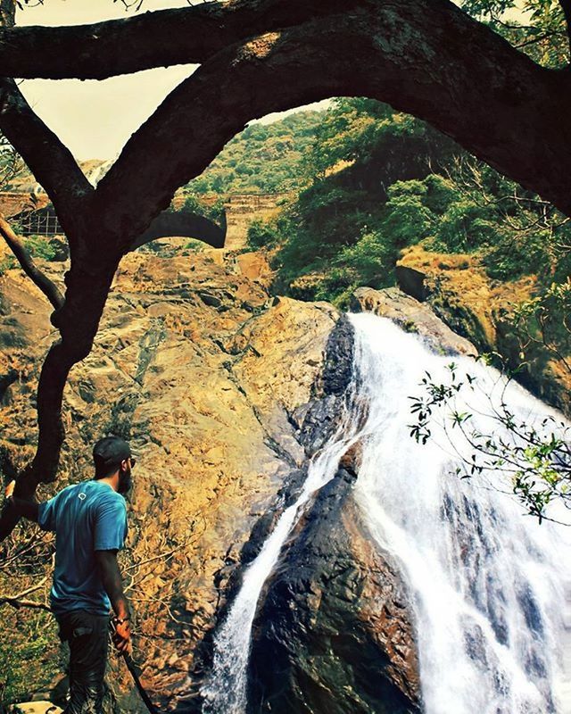 waterfall, tree, rock - object, forest, flowing water, water, nature, motion, beauty in nature, flowing, stream, scenics, leisure activity, lifestyles, rock formation, tranquility, long exposure, rock