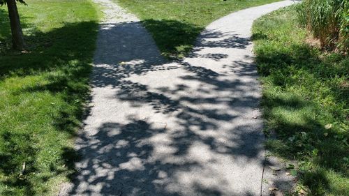 High angle view of shadow on road