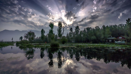 Panoramic view of trees by lake against sky