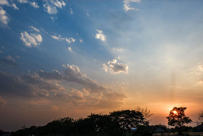 Low angle view of silhouette trees against sky during sunset