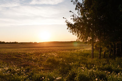 Scenic view of landscape against sky at sunset