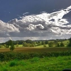 Scenic view of grassy field against sky