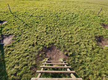 High angle view of agricultural field