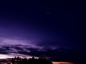 Silhouette of trees at sunset