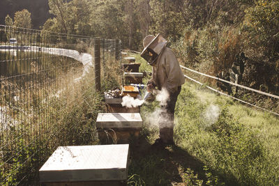 Beekeeper wearing protective suit using bee smoker near beehive in apiary