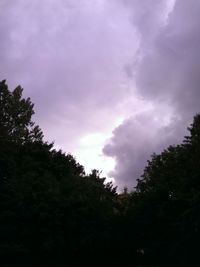 Low angle view of trees against cloudy sky