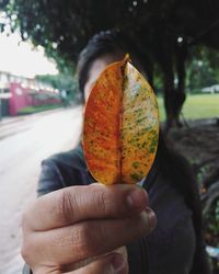 Close-up of hand holding fruit