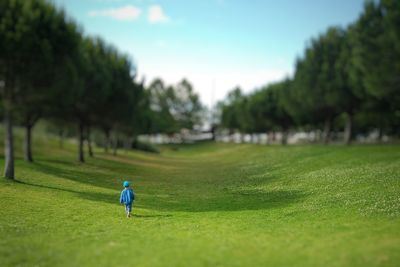 Tilt-shift image of boy walking on grassy field