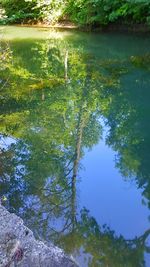 Reflection of trees in lake