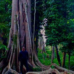 Man standing on tree trunk in forest